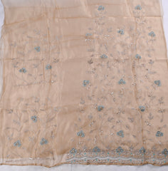 Glass Shimmer Beige Unstitched Suit