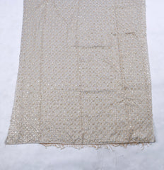 Shimmer Beige Unstitched Suit