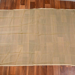 Organza Light Green Unstitched Suit