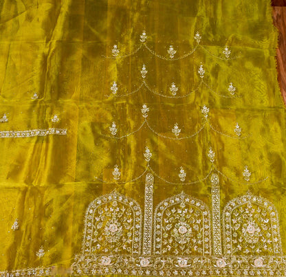 Shimmer Mehendi Lehenga suit