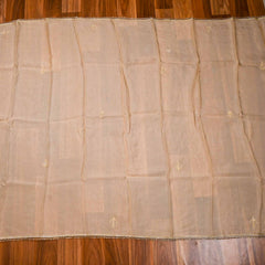 Organza Beige Unstitched Suit